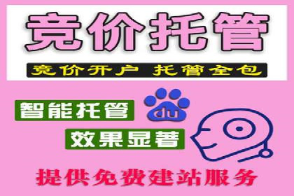 SEM托管服务实战案例：打造高效广告投放策略